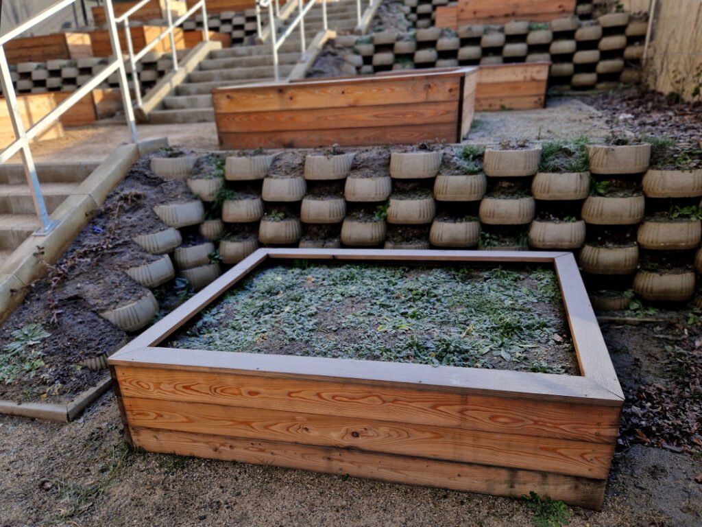 10 Things to Plant in November for a Beautiful Spring Garden Winter Gardening Tasks to Complete Now For a Beautiful Garden This Spring