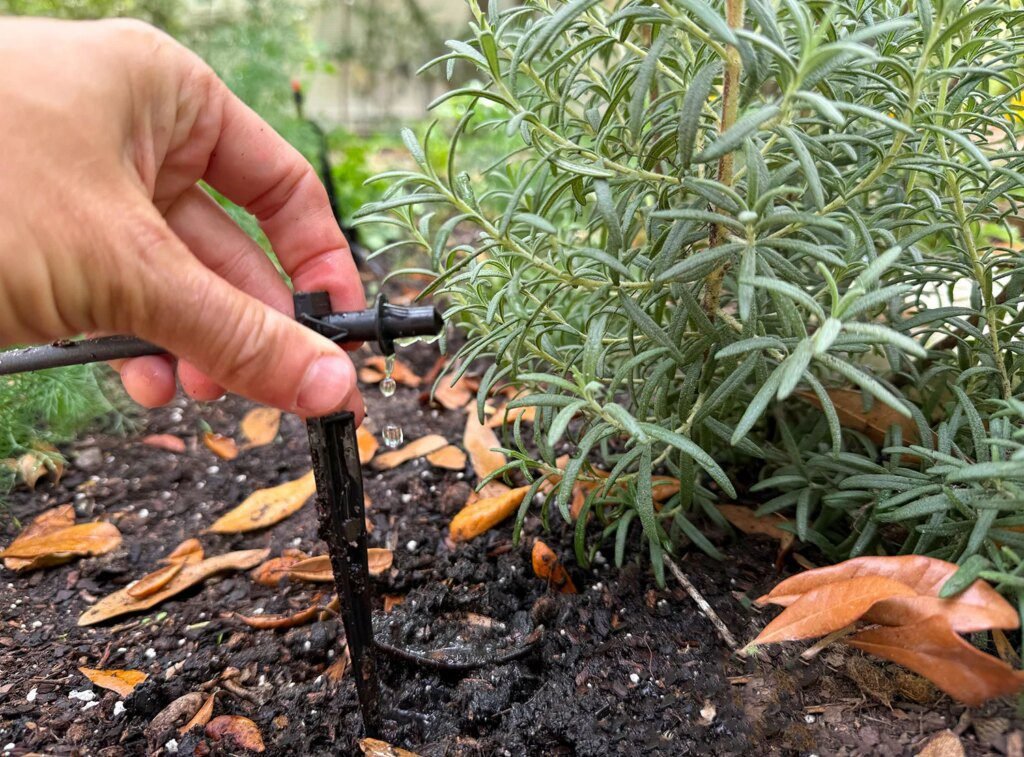 Guide to Setting Up Your Drip Irrigation System